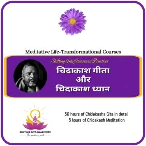 Chidakasha Gita (Hindi)