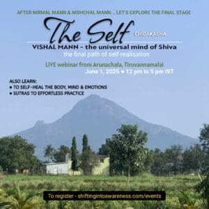 THE SELF - Chidakasha